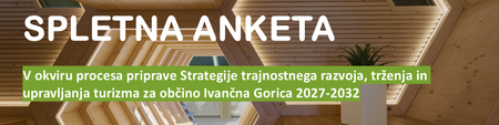spletna anketa