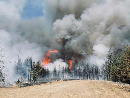 Razglašena velika požarna ogroženost na območju celotne države 