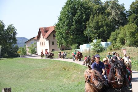42-IMG_5273
