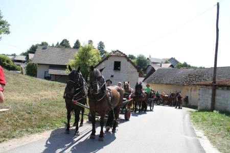56-IMG_5553