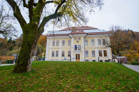 Hiša kranjske čebele - Apilab