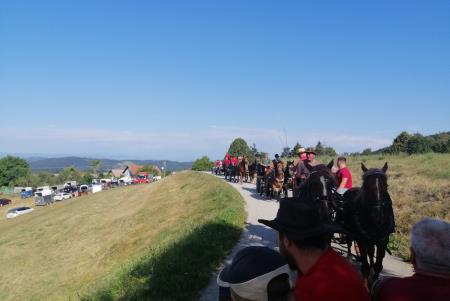 IMG_20220820_094055_resized_20220825_095921203