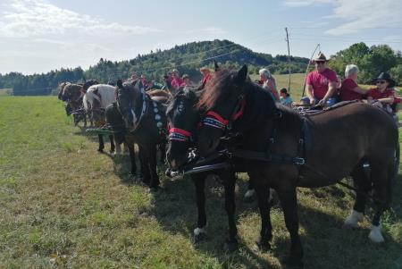 IMG_20220820_095028_resized_20220826_081524729