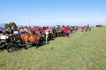 IMG_20220820_095436_resized_20220826_081523831