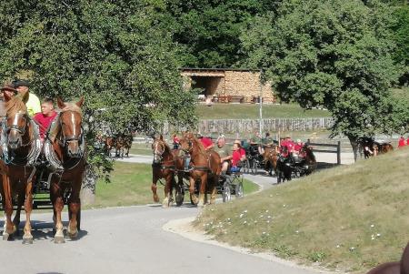 IMG_20220820_100329_resized_20220825_095918194