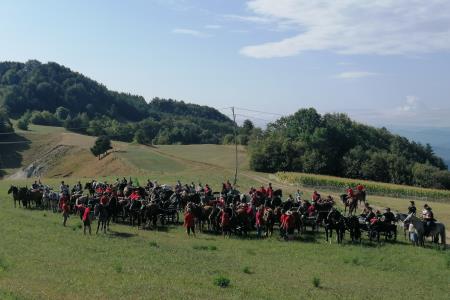 IMG_20220822_104733_resized_20220825_095919913