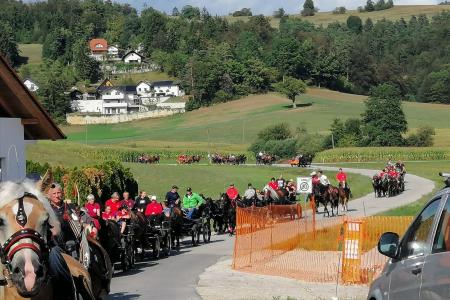 IMG_20220822_104847_resized_20220825_095917615