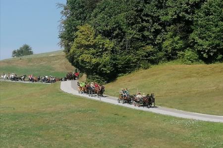 IMG_20220822_105056_resized_20220825_095918943