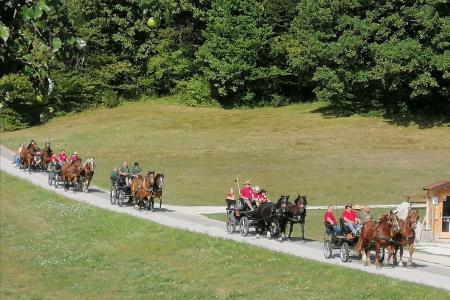 IMG_20220822_105138_resized_20220825_095919360