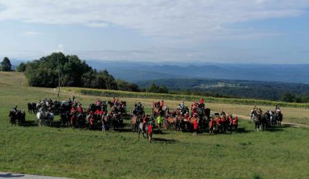 IMG_20220822_105540_compress67_resized_20220822_110138153