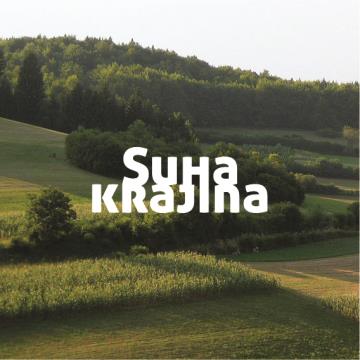 SK_logo_W_podlaga