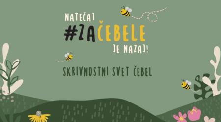 slika-zacebele-1038x576