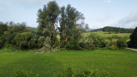 361907124_1337682973626705_2027741732478184125_n