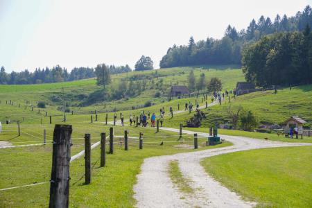DSC09535