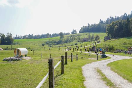 DSC09537