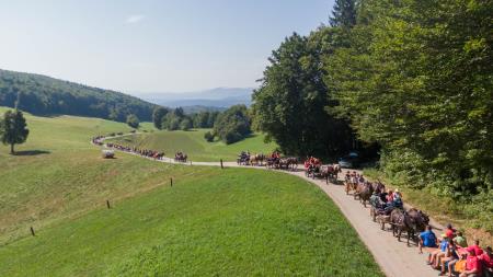 DJI_0663