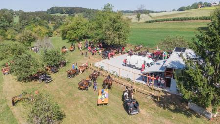 DJI_0681