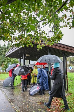 DSC_6993