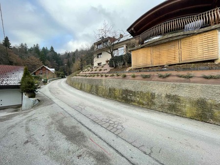 Žabjek območje rezkanja 3