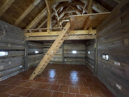 viber_image_2026-02-20_11-23-36-343