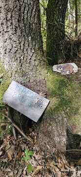 IMG-cd87b582cfc43ef3066245db3bde7c4c-V