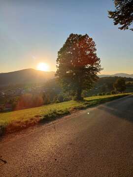 IMG-ac44ad9ff44a1b71a57284a1aa49e4d7-V